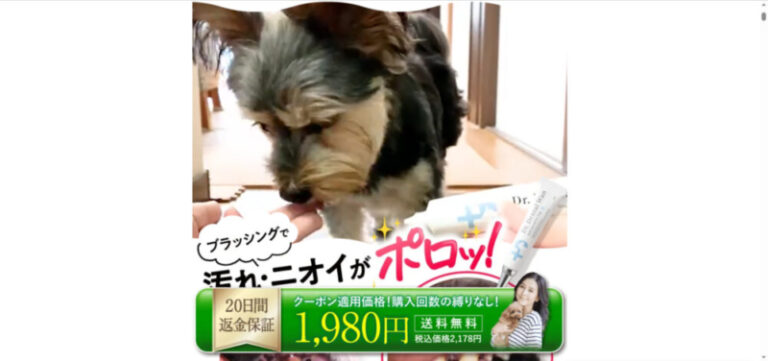 出典：イメージ：公式サイト