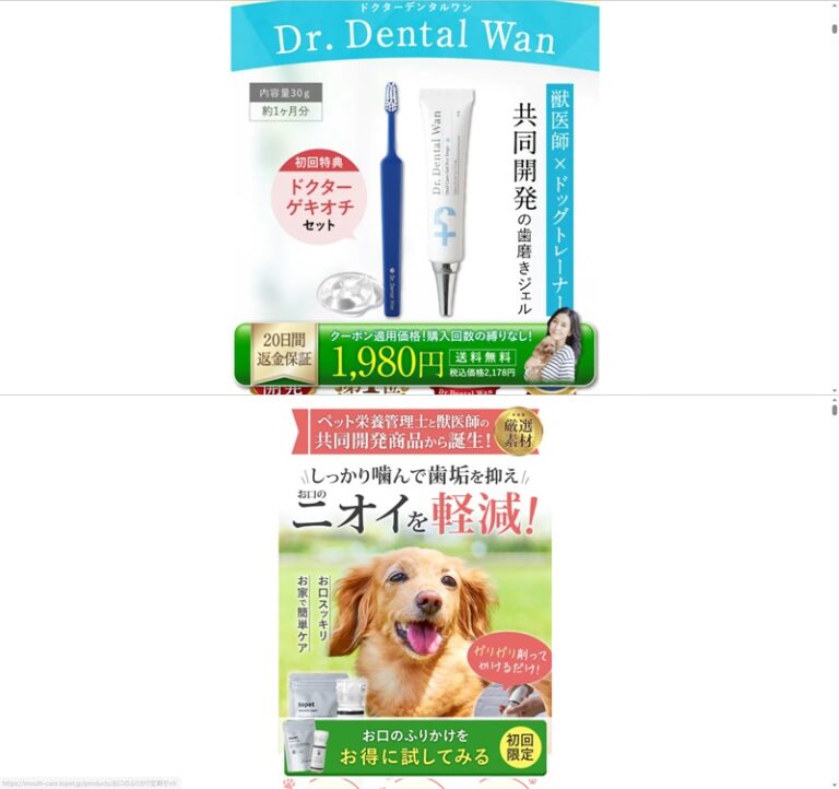 出典：イメージ：公式サイト