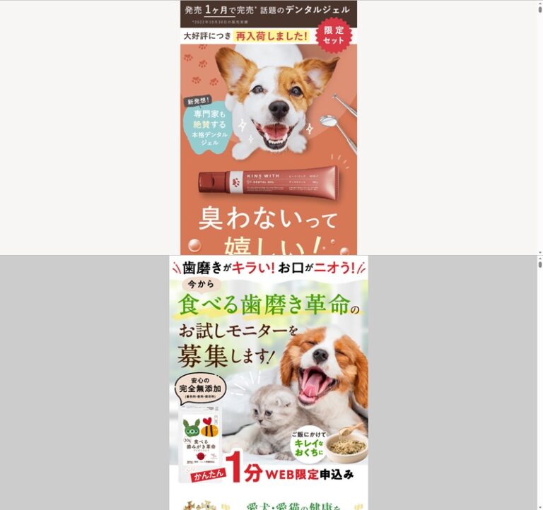 出典：イメージ：公式サイト