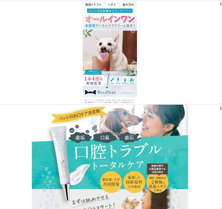 出典：イメージ：公式サイト