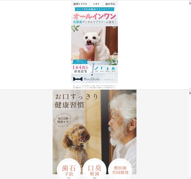 出典：イメージ：公式サイト