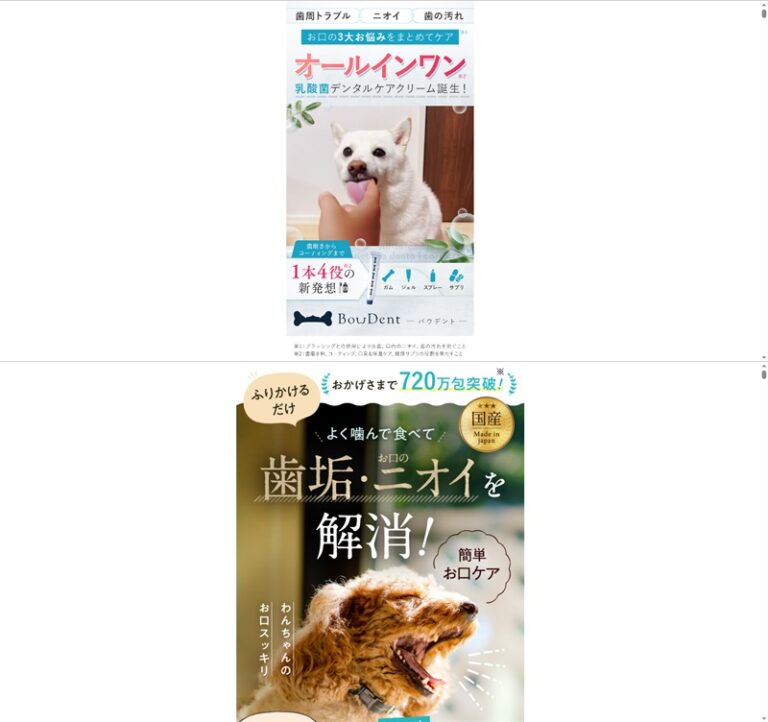 出典：イメージ：公式サイト