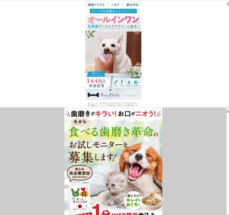 出典：イメージ：公式サイト