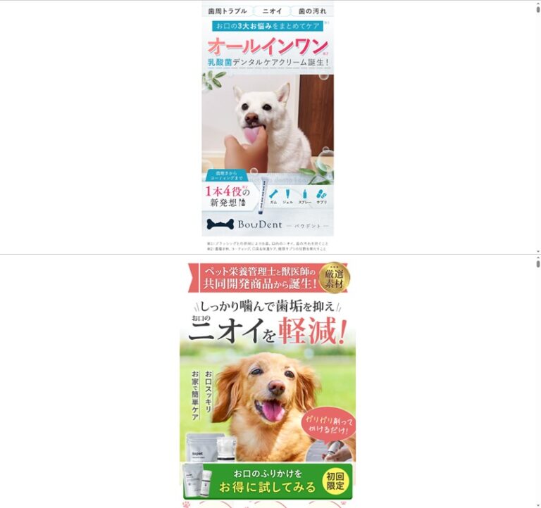 出典：イメージ：公式サイト