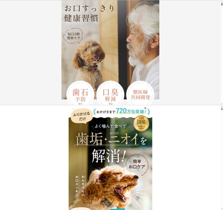 出典：イメージ：公式サイト