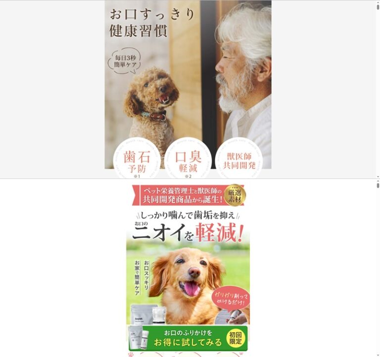 出典：イメージ：公式サイト