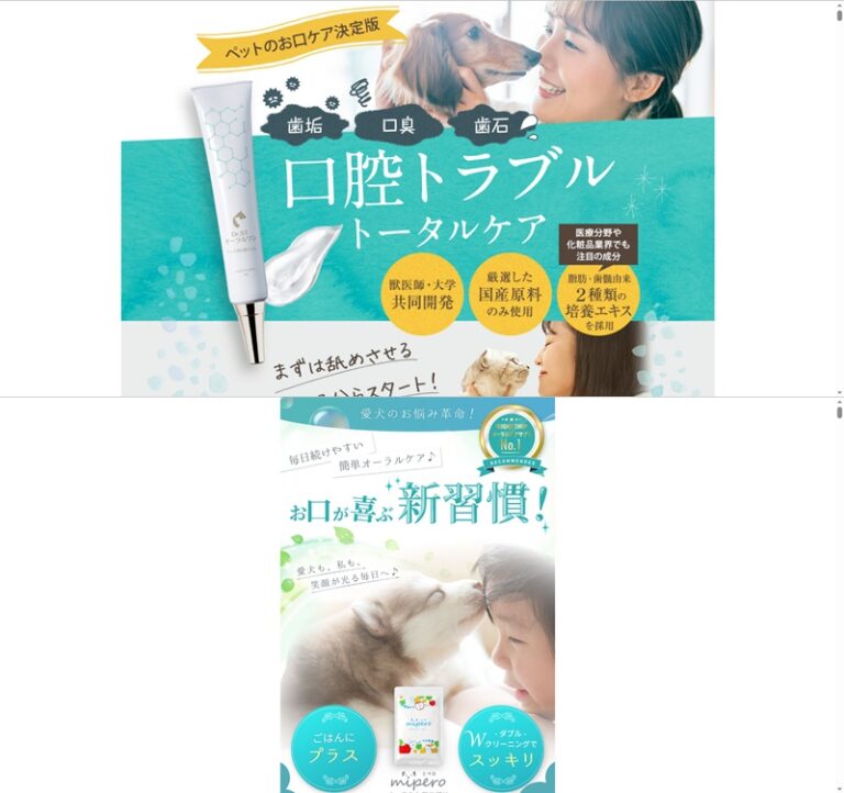 出典：イメージ：公式サイト