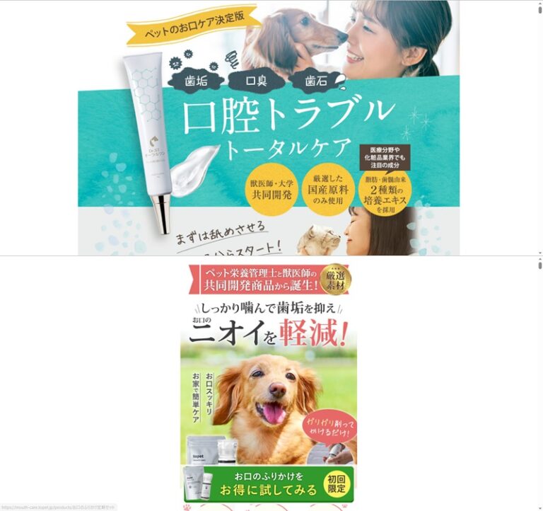 出典：イメージ：公式サイト