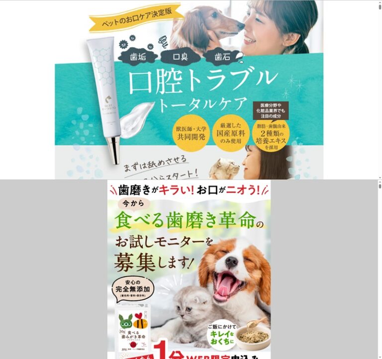 出典：イメージ：公式サイト
