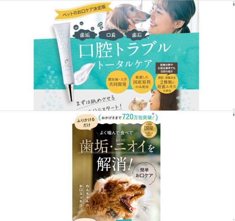 出典：イメージ：公式サイト