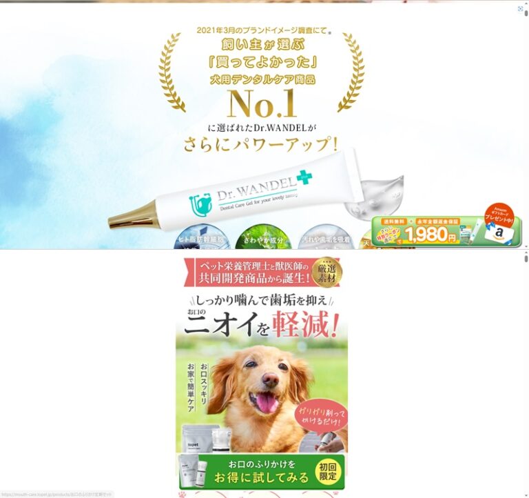 出典：イメージ：公式サイト
