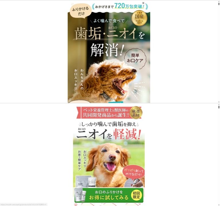 出典：イメージ：公式サイト