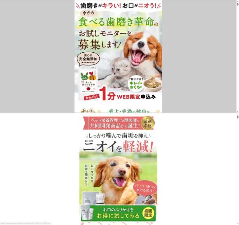出典：イメージ：公式サイト
