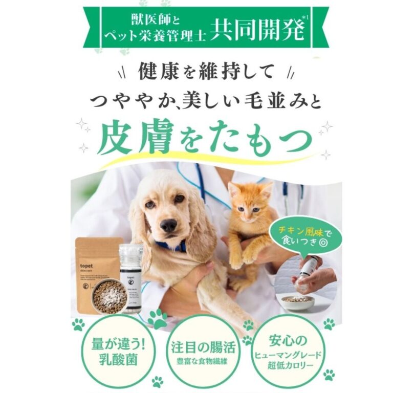 出典：イメージ：公式サイト